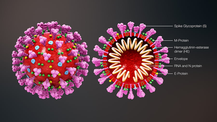 همه چیز در مورد پیدایش، گسترش و پیشگیری از ویروس کرونا